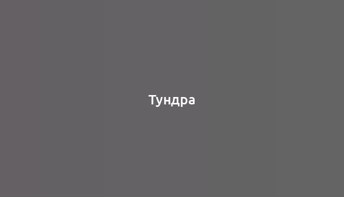 Тундра