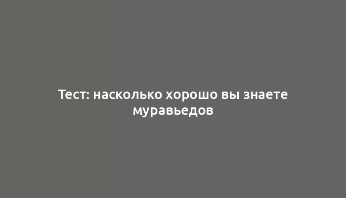 Тест: насколько хорошо вы знаете муравьедов