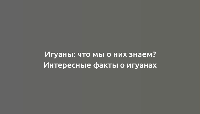 Игуаны: что мы о них знаем? Интересные факты о игуанах