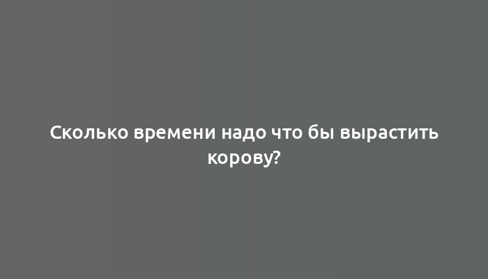 Сколько времени надо что бы вырастить корову?