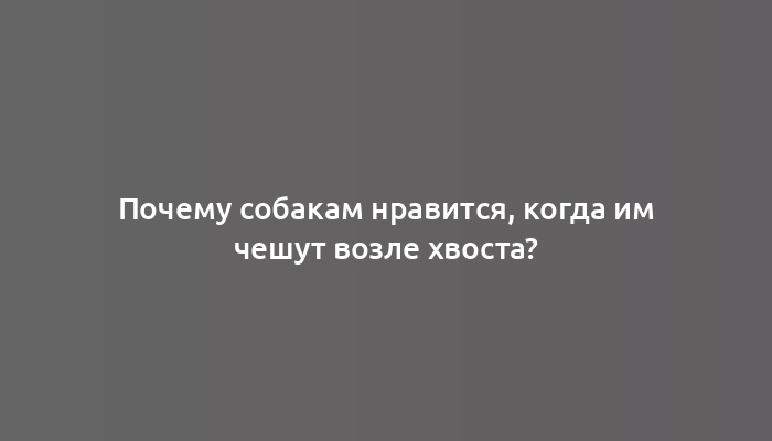 Почему собакам нравится, когда им чешут возле хвоста?